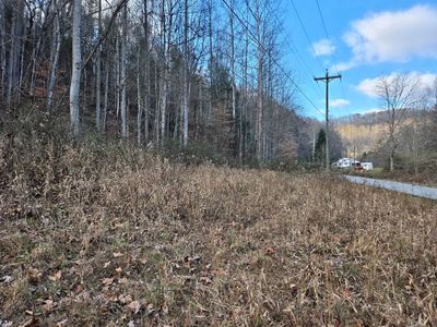 0 Mill Creek Rd, Fort Gay, WV, 25514