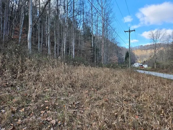 0 Mill Creek Rd, Fort Gay, WV 25514