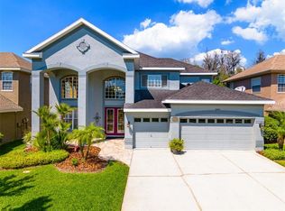 11621 Renaissance View Ct, Tampa, FL 33626