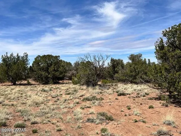 3845 Apache Rd, Snowflake, AZ 85937