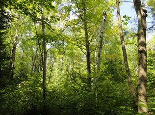 3 Sanctuary Rd, Tomahawk, WI 54487