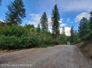 L36b4 Cutthroat Run, Irwin, ID 83428