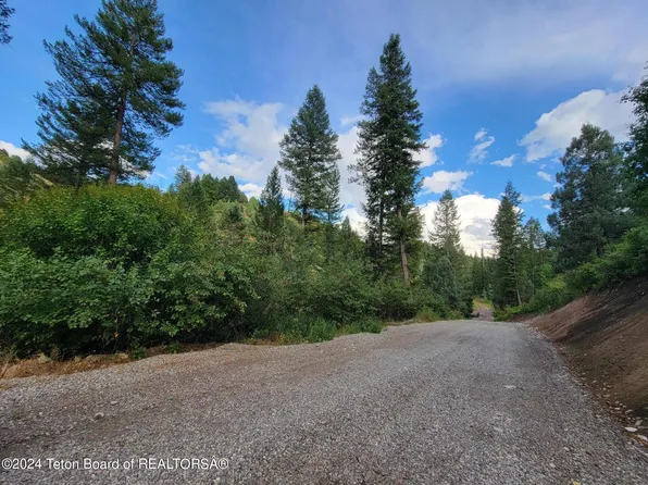 L36b4 Cutthroat Run, Irwin, ID 83428