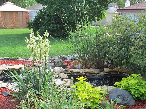 Backyard pond