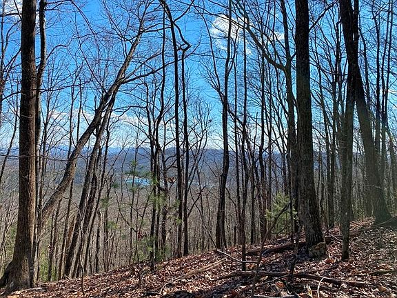 3rd image of LOT 1 High Country Lane