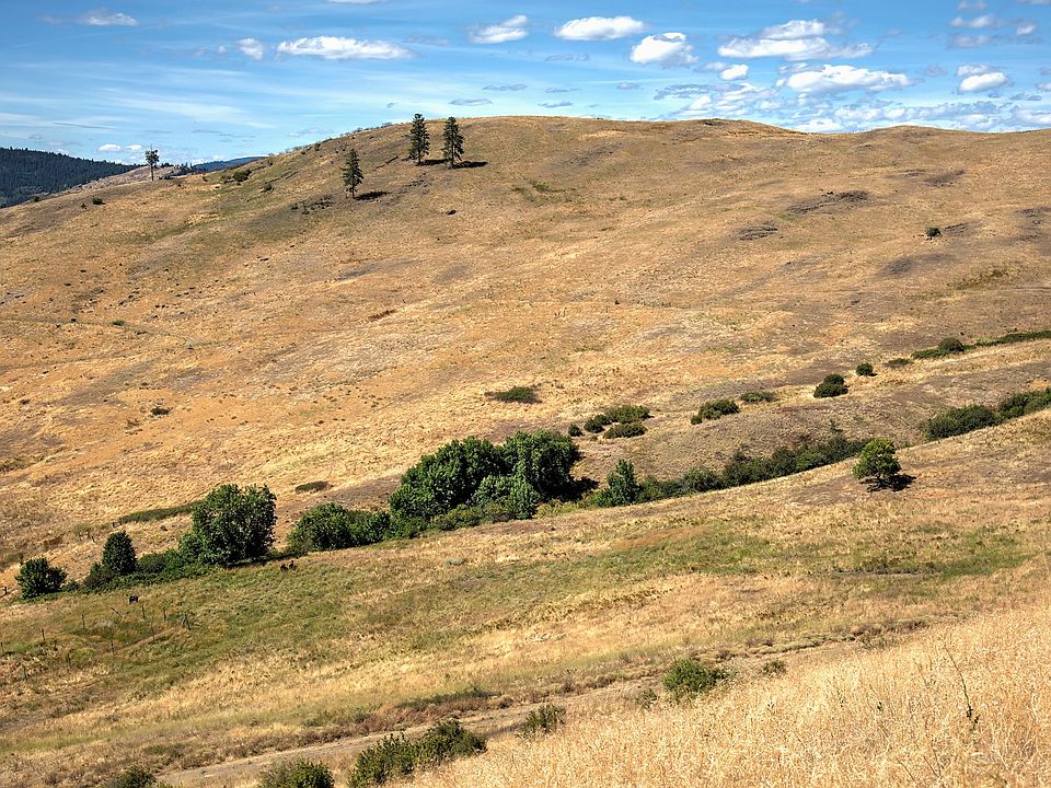2nd image of 4574 Paradise Way