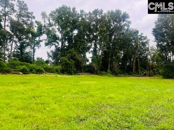 1161 Tom Moore Rd Lot 2, Leesville, SC 29070
