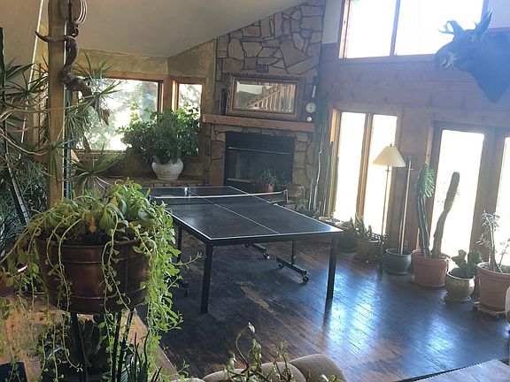 Living room with ping pong table