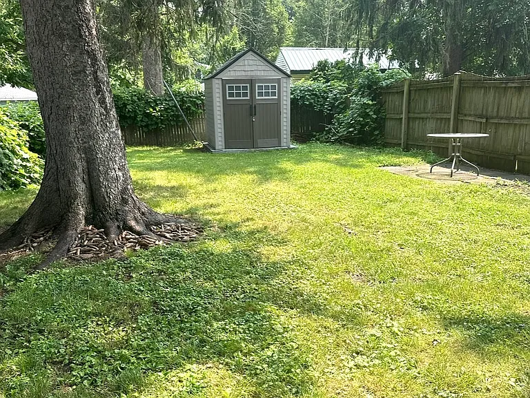 Shed for Extra Storage