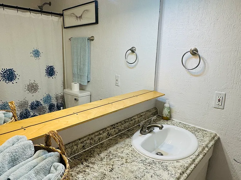 large bathroom sink with tub/shower
