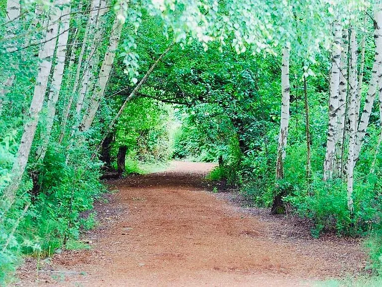 Mercer Park Trails across the street