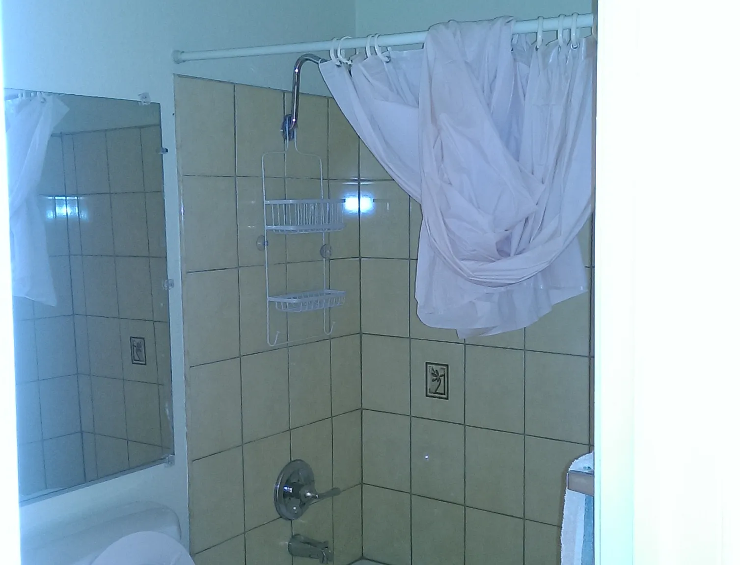 3 bed, 1606 sqft, $930 — Photo 4