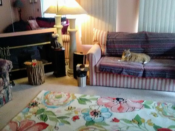 2nd image of 373 Neponset St APT B