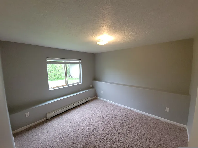 Downstairs Bedroom #1