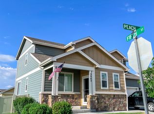 3983 Peach St, Wellington, CO 80549