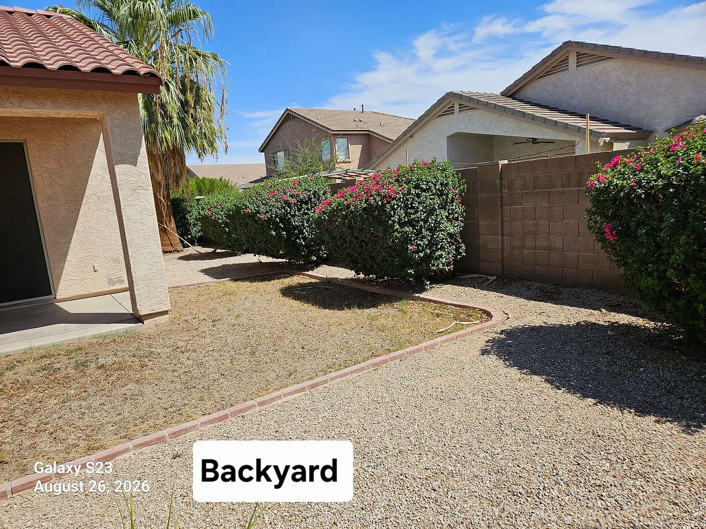 Great Gilbert location — Photo 4