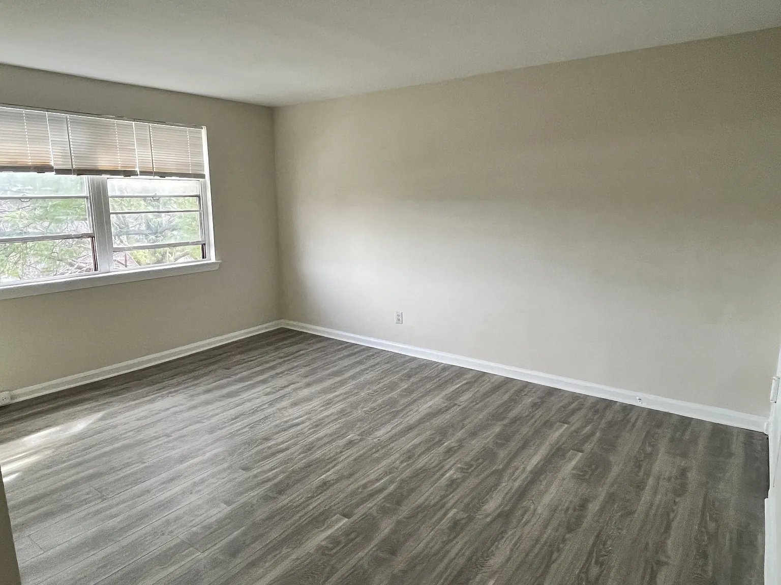 811 Barnaby Street LLC - 204 — Photo 2