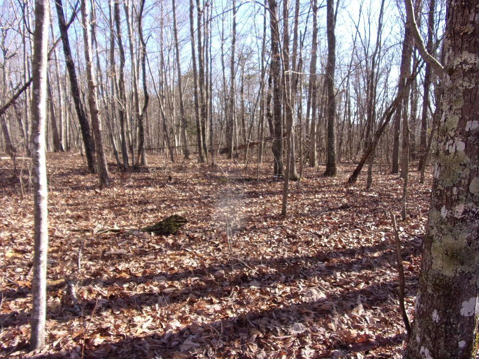 1st image of Rocky Creek Dr