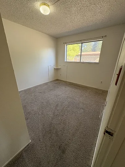 1168 Arthur St #B — Photo 11
