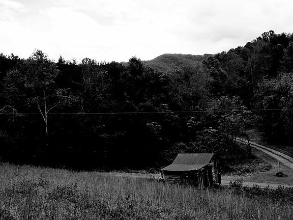 3rd image of 5966 Willowbrook Ln