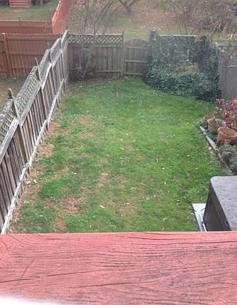 fenced in yard
