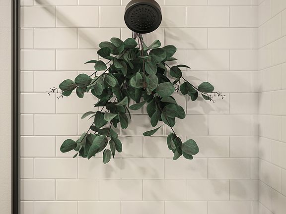 Walk-in owner s shower