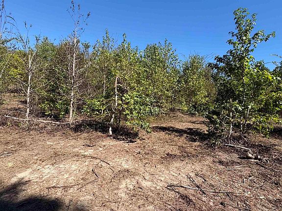 2nd image of 920 County Road 1226