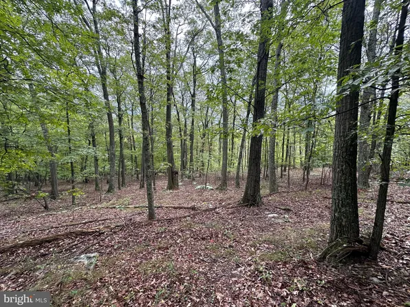 7 Detour Rd, Great Cacapon, WV 25422