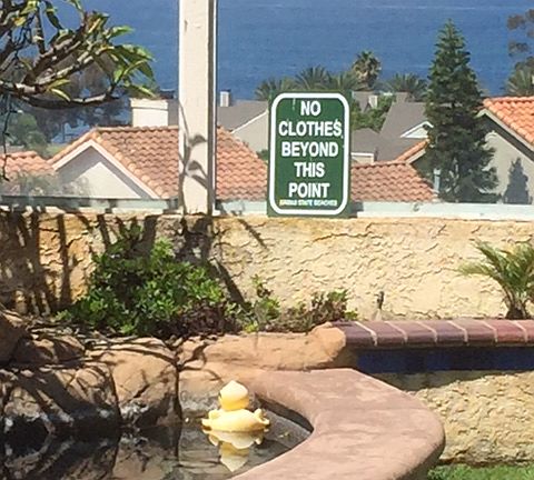 Private Spa with Waterfall