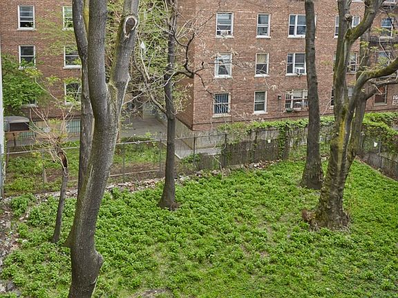 4th image of 162 E 2nd St APT 3A