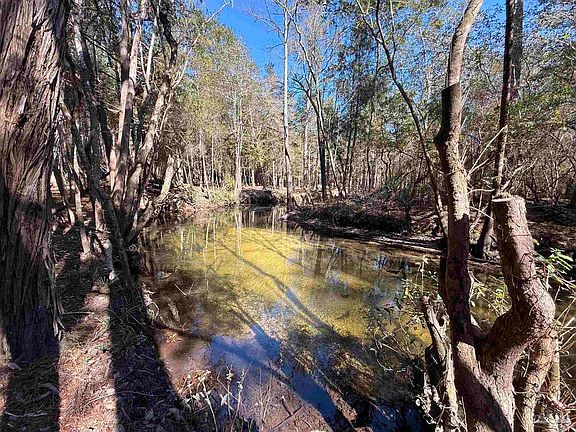 3rd image of LOT 18 Crossing Ct