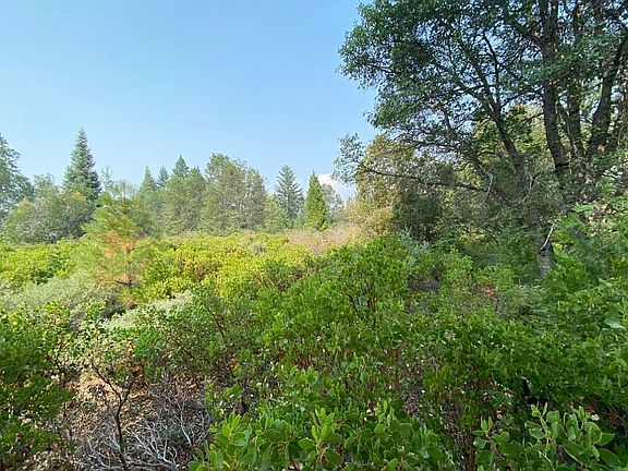 3rd image of LOT 2 Quail Hill Dr