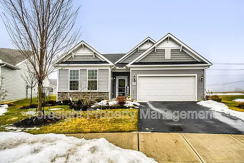 1585 Nettle Ct Photo 1
