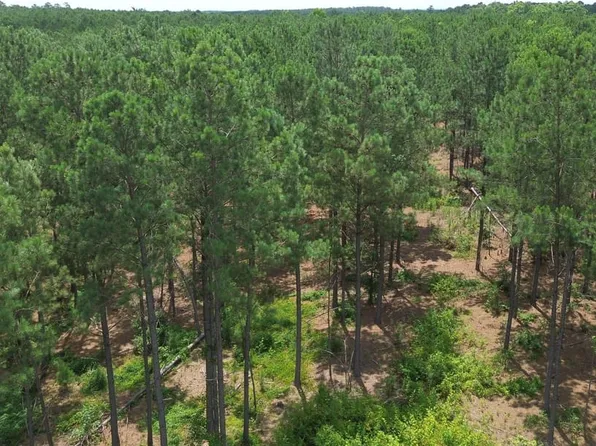 Hollywood Rd, Saluda, SC 29138