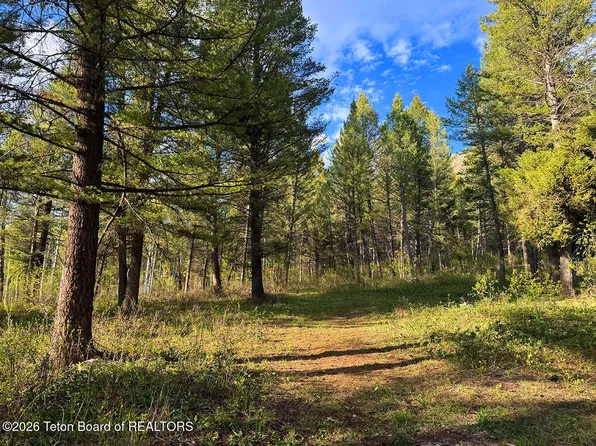 83 Oak Dr, Thayne, WY 83127