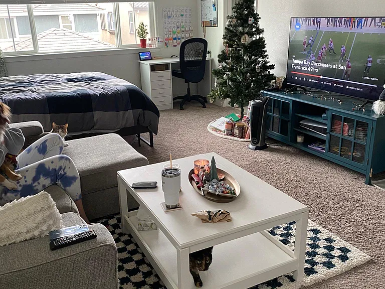 large living and bedroom