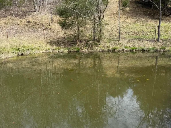 0 Kyles Ford Hwy #35, Kyles Ford, TN 37765