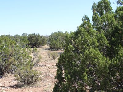 2122 Deeazinon Rd, Heber, AZ, 85928