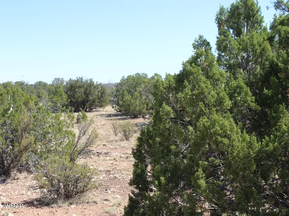 2122 Deeazinon Rd, Heber, AZ 85928