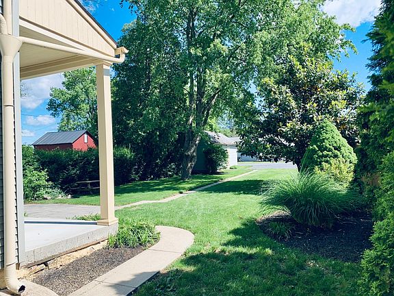 Back yard