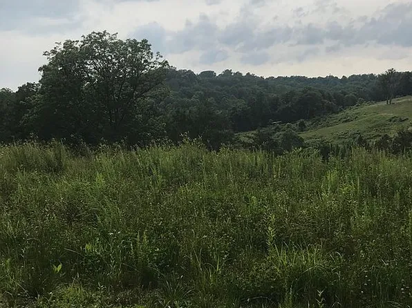 860 Freed Rd, Brohard, WV 26138