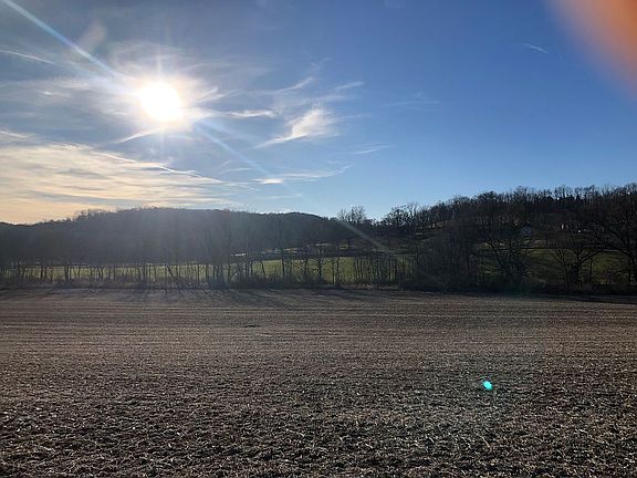 Middle 2 acres 
