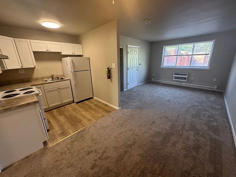 203 E Chestnut Street — Photo 5
