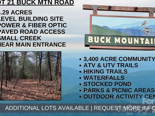 Buck Mountain Rd #21, Purlear, NC 28665