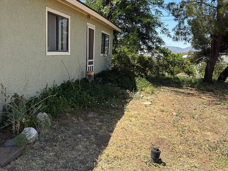 back yard