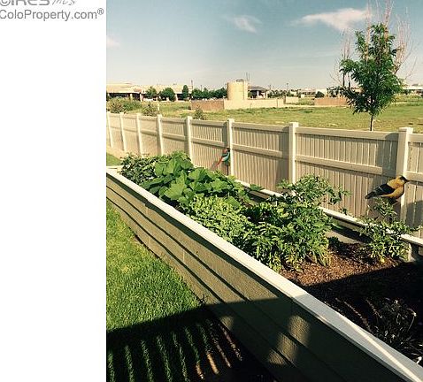 Raised Vegetable garden 