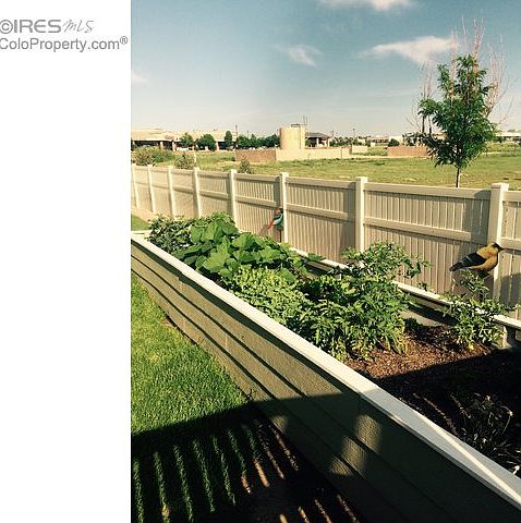 Raised Vegetable garden 
