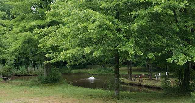 2nd image of 3305 E Toto Rd