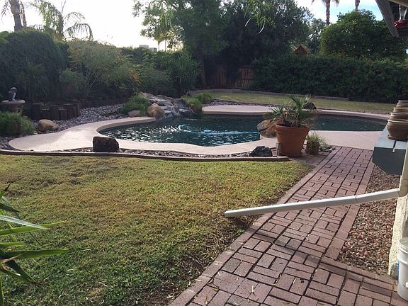 Backyard retreat with large diving pool and plenty of grass,