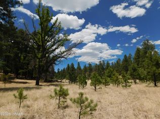 10 N2310, Alpine, AZ 85920